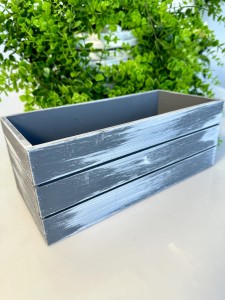 Rynienka  szara    11