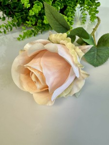 Róża morelowa   60 