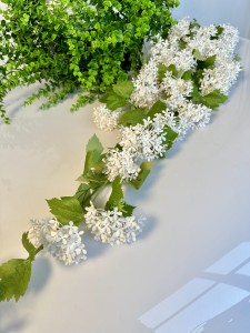 Kalina zwis biały 125