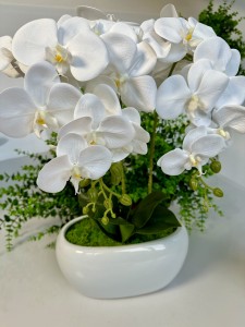 Storczyk silikonowy  biały   55 