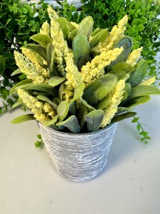 Roślina w doniczce 14 