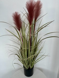 Trawa pampasowa brudny róż 80