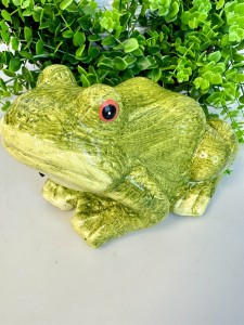 Żabka z czujnikiem ruchu 12 