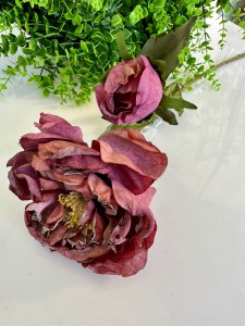 Piwonia brudnym róż  75  
