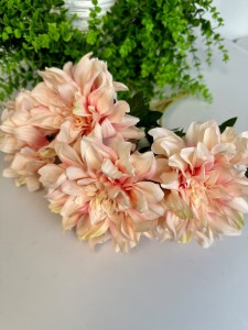 Bukiet dalia brzoskwiniowa ombre 47 