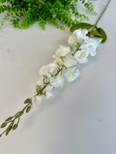 IMG_0950.jpeg