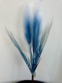 IMG_2444.jpeg