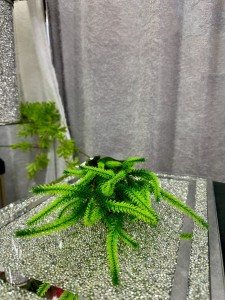 Gałązka wrzosu zielona 86