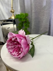 Piwonia ciemny róż 54 