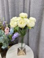 IMG_1988.jpeg