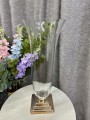 IMG_1989.jpeg