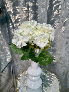 Bukiet biały hortensji 50