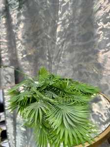 Gałązka zielona 70