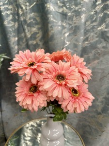 Bukiet gerbery morelowej 40 