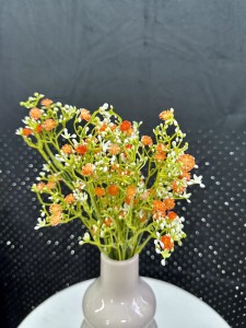 Gipsówka pomarańczowa 37