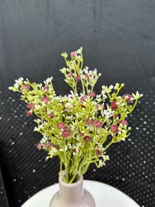 Gipsówka fioletowa 37