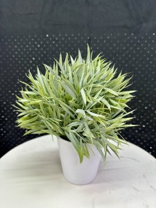 Zielona roślina  w doniczce 20