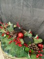 IMG_4480.jpeg