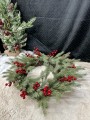 IMG_4531.jpeg