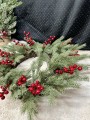 IMG_4532.jpeg
