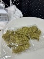 IMG_4580.jpeg