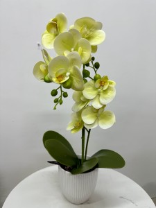 Storczyk limonkowy silikonowy w doniczce 42 