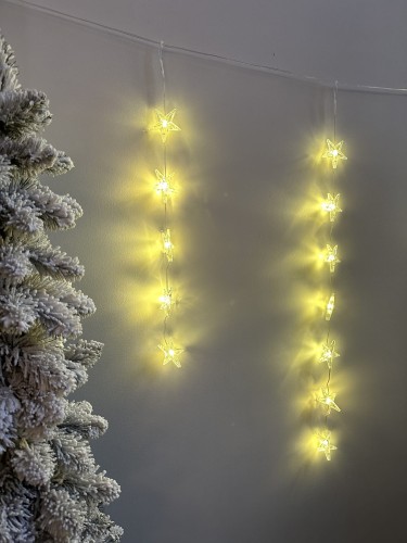 IMG_5221.jpeg