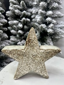Gwiazda porcelanowa 20