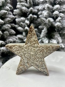 Gwiazda porcelanowa 14