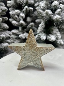 Gwiazda porcelanowa 11.5