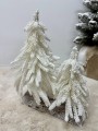 IMG_5667.jpeg