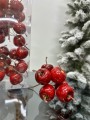 IMG_5681.jpeg