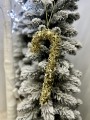 IMG_5766.jpeg