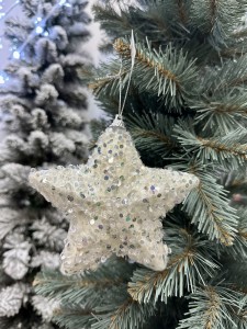 Zawieszka gwiazda biała 12