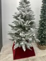 IMG_5845.jpeg