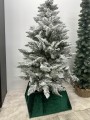 IMG_5848.jpeg