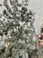 IMG_6118.jpeg