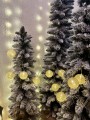 IMG_6306.jpeg