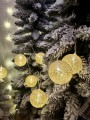 IMG_6307.jpeg