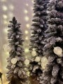 IMG_6308.jpeg