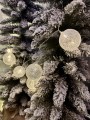 IMG_6309.jpeg