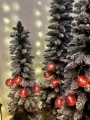 IMG_6310.jpeg