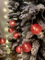 IMG_6311.jpeg