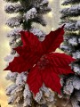 IMG_6322.jpeg
