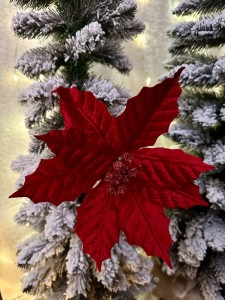 Gwiazda betlejemska czerwona 28 