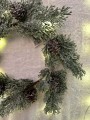 IMG_6398.jpeg