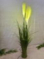 IMG_6782.jpeg