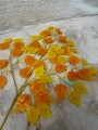 IMG_7094.jpeg