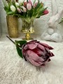 IMG_7523.jpeg