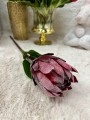 IMG_7522.jpeg